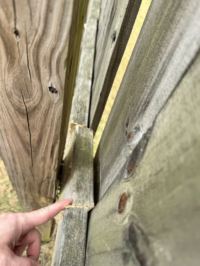 Removing the old fence