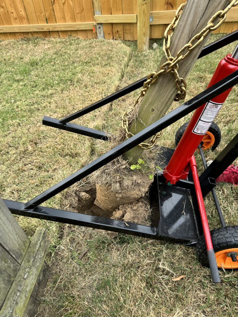 Removing the old fence